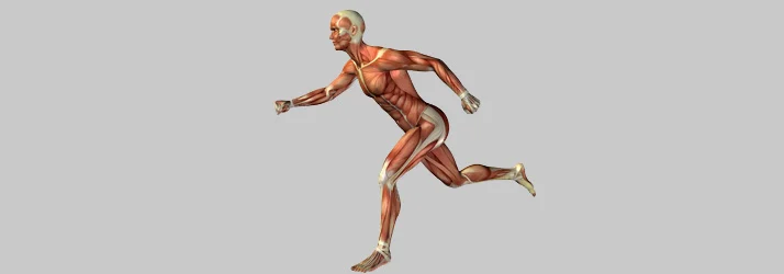 Why Stretching Isn’t Fixing Your Tight Muscles. Your Body Might Be Trying to Tell You Something in Dallas TX.